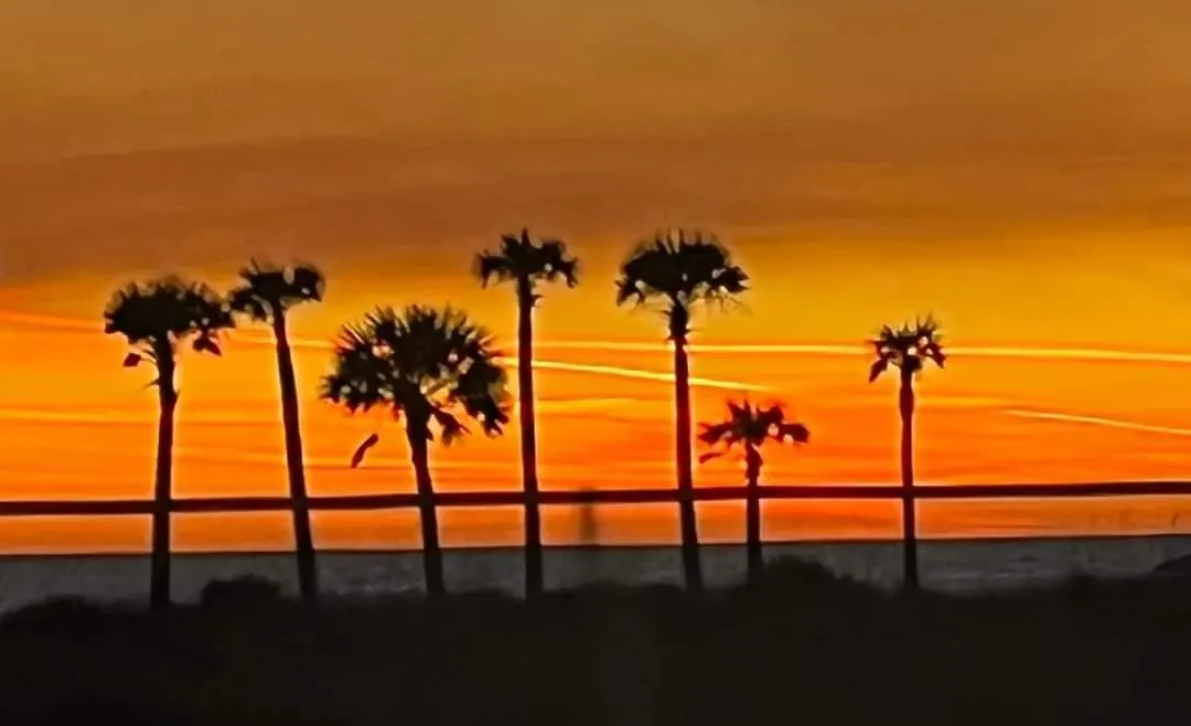 Shores Of Panama 204 - 2Nd Floor 2 Bedroom Sleeps 8, Same Floor Reserved Parking, Free Fun Condo Panama City Beach